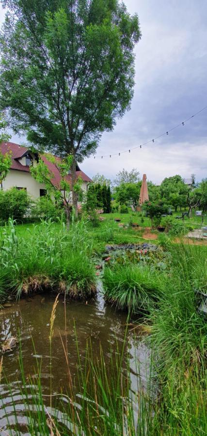 Forest Inn Izvorani Exterior foto